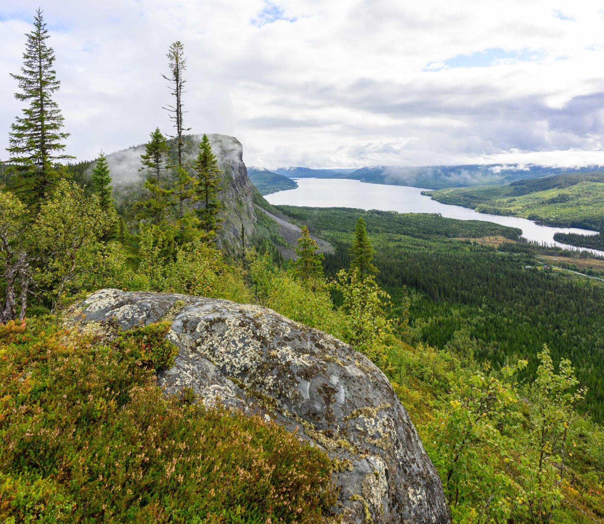 Вилла The Bear'S Den Hakafot Экстерьер фото