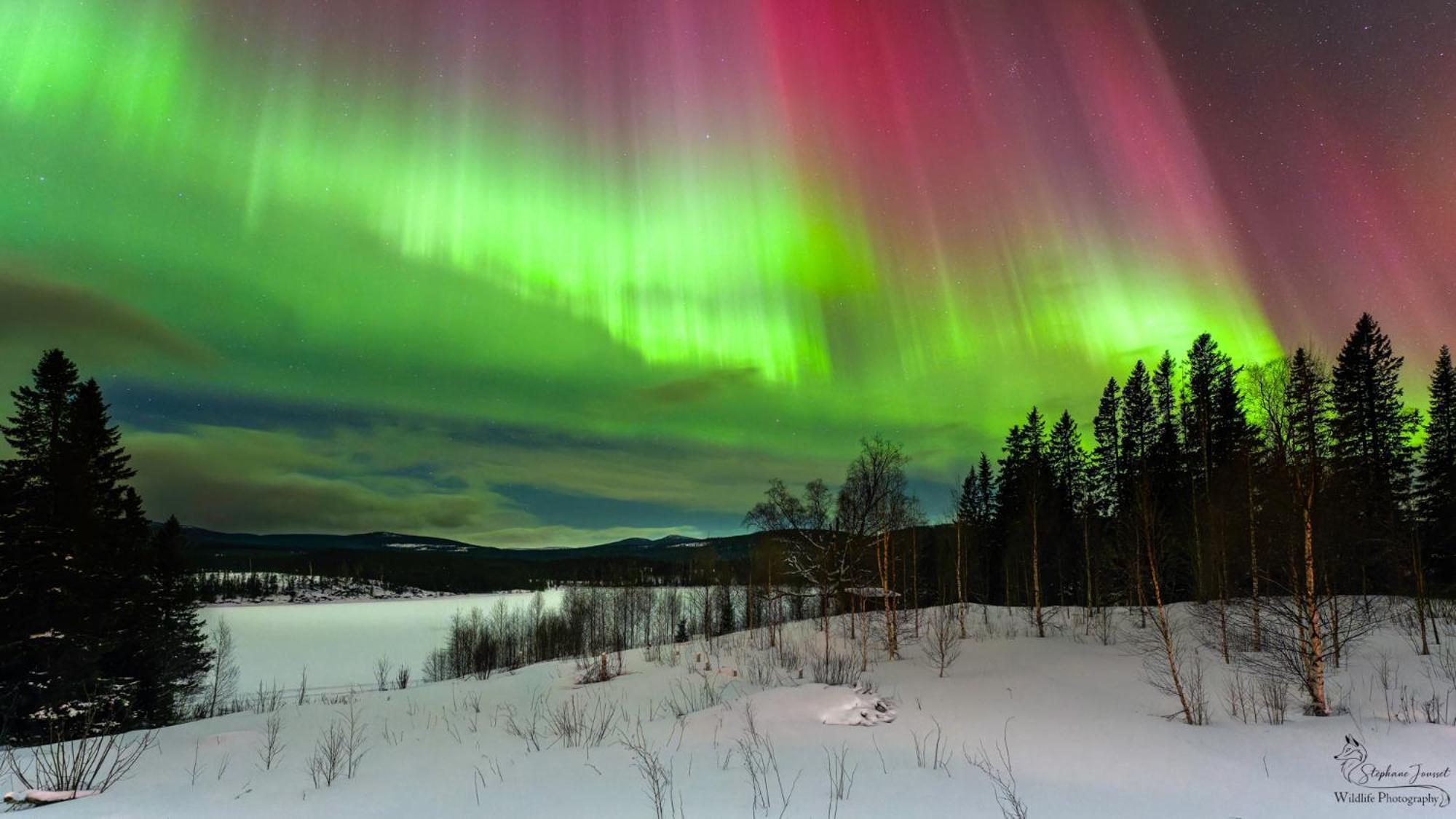 Вилла The Bear'S Den Hakafot Экстерьер фото